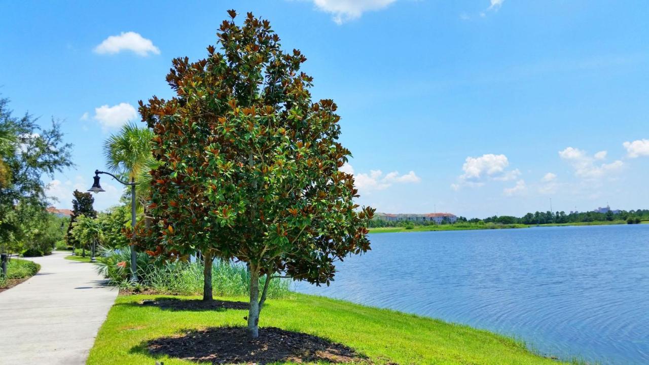 Spacious In Vista Cay Luxury Awaits Apartamento Orlando